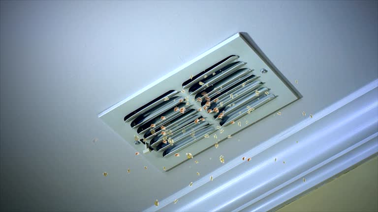 Best Commercial Air Duct Cleaning  in Chariton, IA