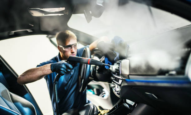 Best Air Duct Mold Removal  in Chariton, IA